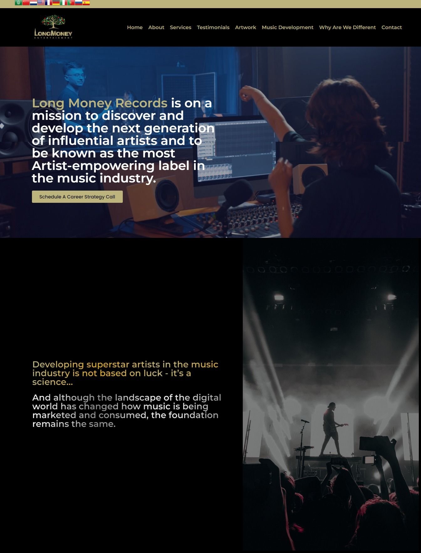 Custom music label web design in the USA - website example