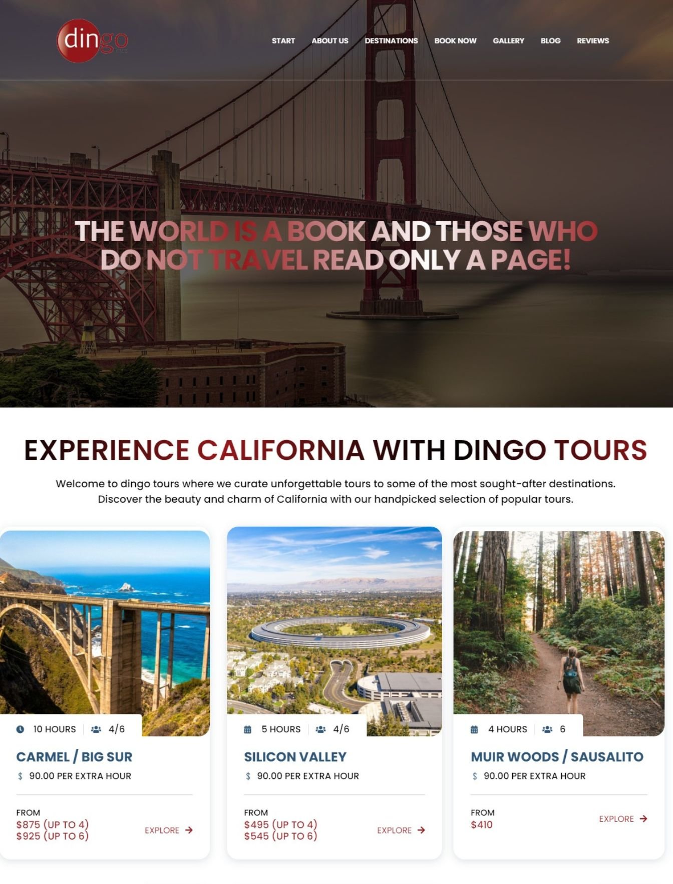 Custom travel and tours web design in the USA - website example