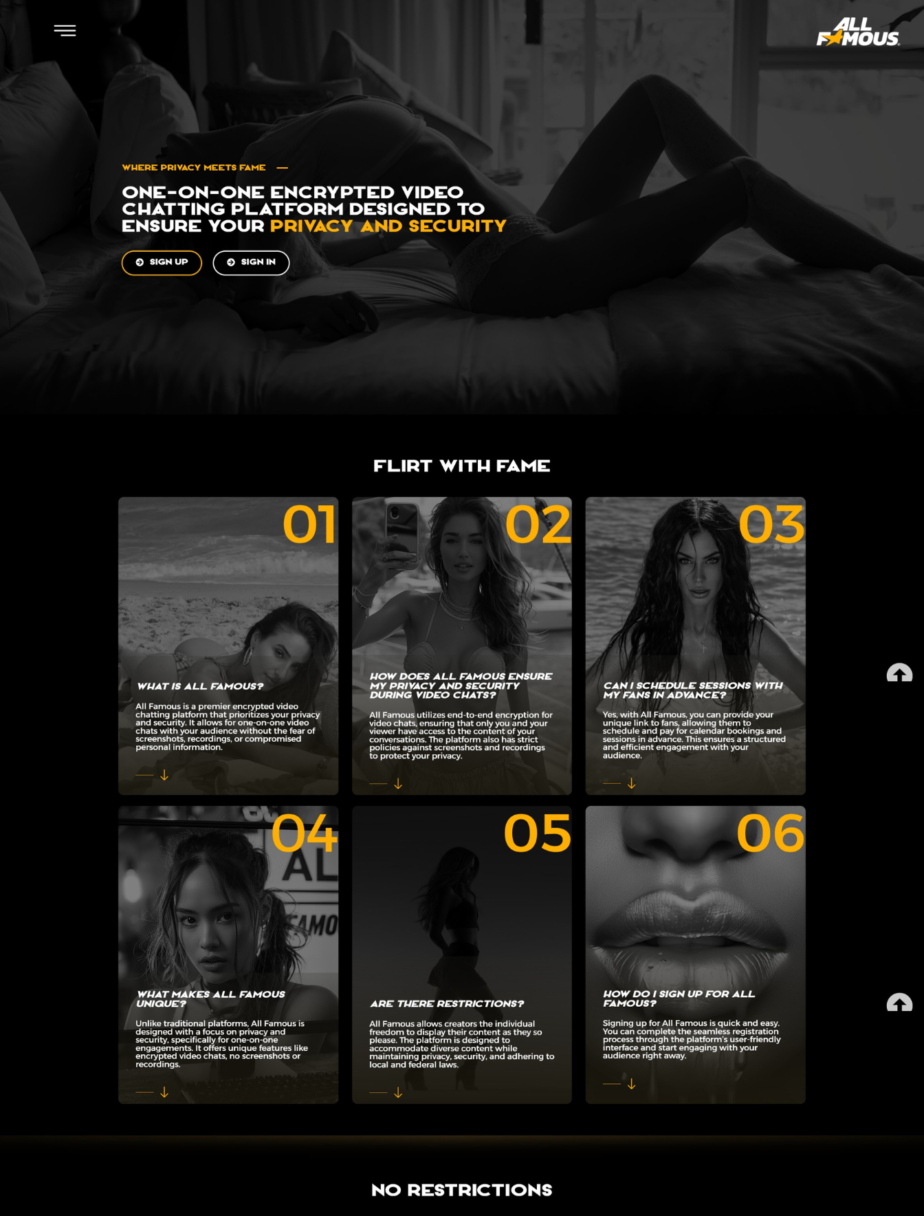 Custom entertainment web design in the USA - website example