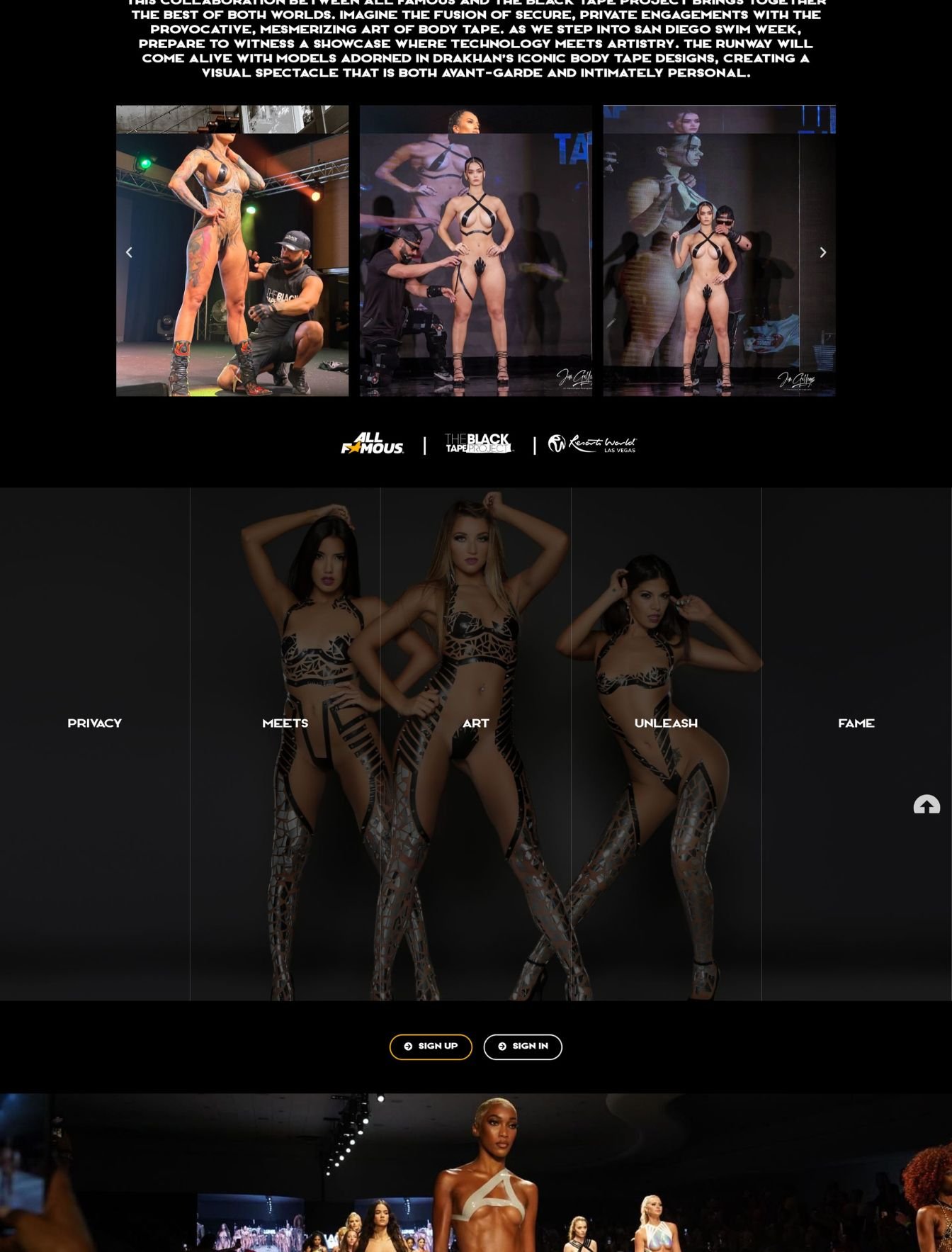 Custom entertainment web design in the USA - website example