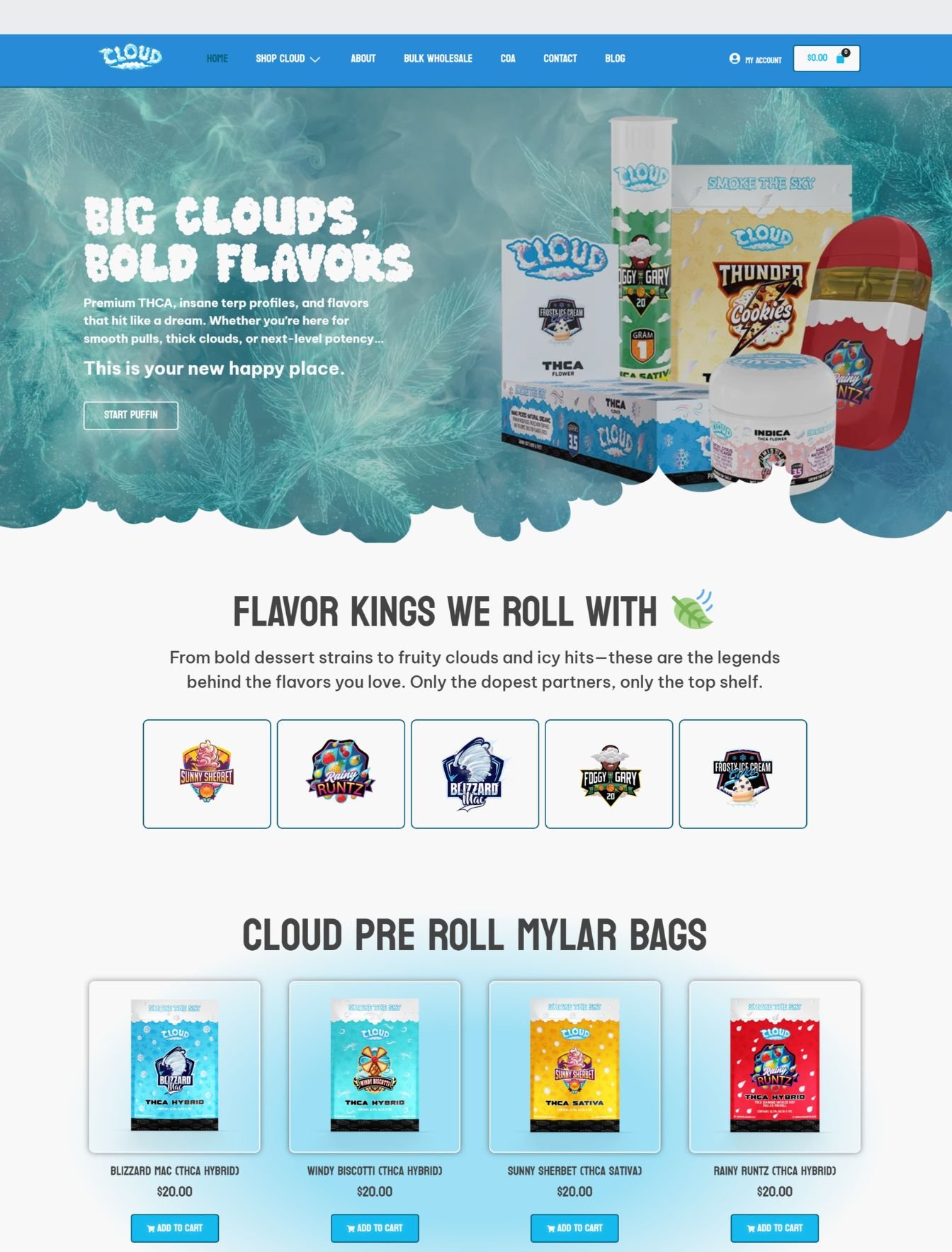 Custom e-commerce platform web design in the USA - website example